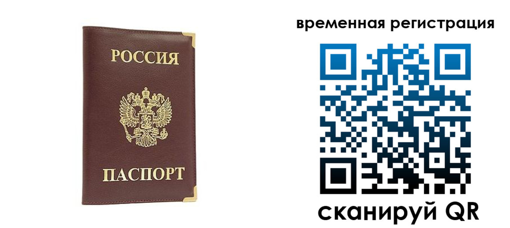 прописка от собственника в Ивантеевке